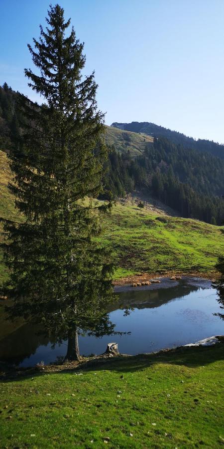 Apartmán Kiara 7 Jesenice Exteriér fotografie