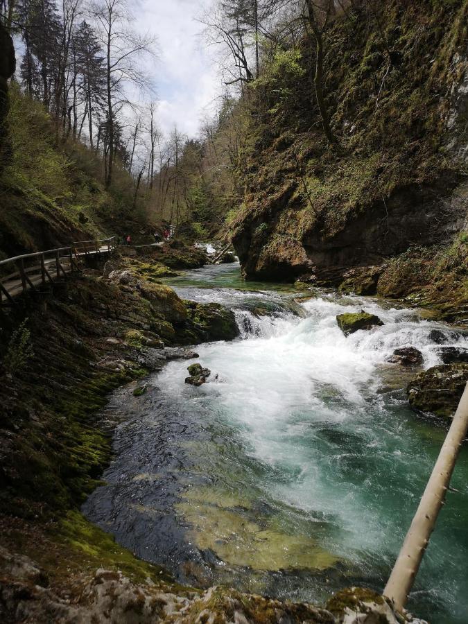 Apartmán Kiara 7 Jesenice Exteriér fotografie