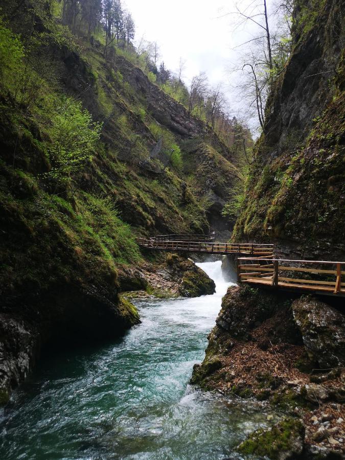 Apartmán Kiara 7 Jesenice Exteriér fotografie